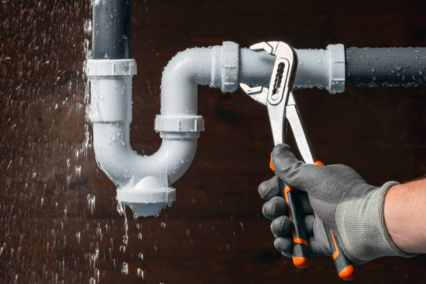 Professional Plumbing technician working in De Armanville, AL